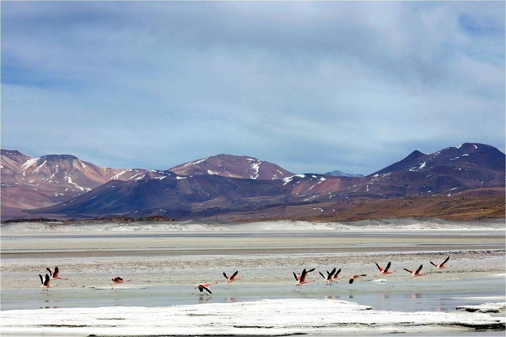 Noi Casa Atacama 4*